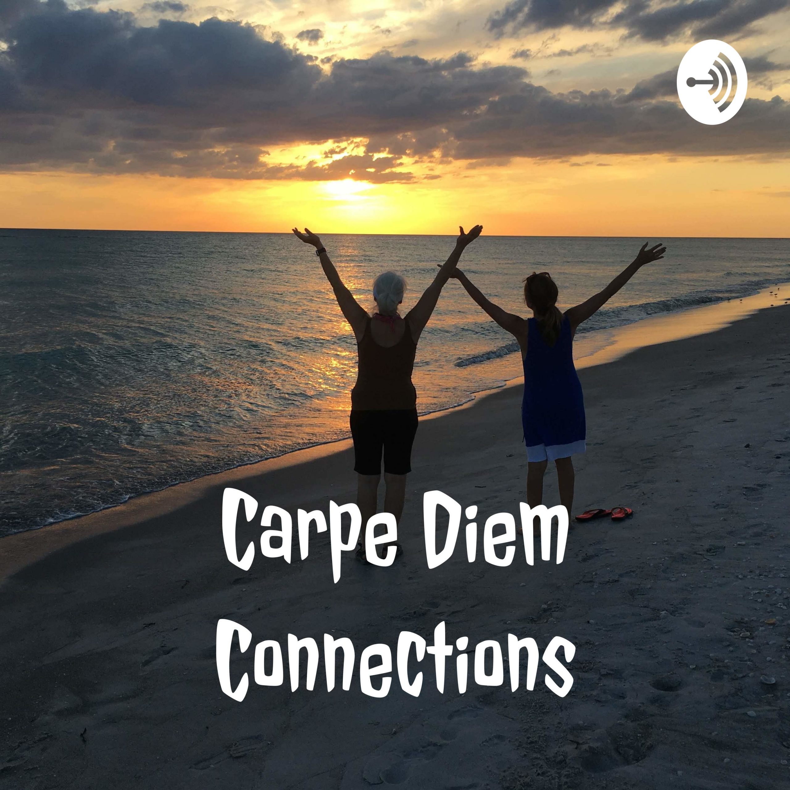 Carpe Diem Home Planner Review (Pros, Cons & Video Walkthrough)